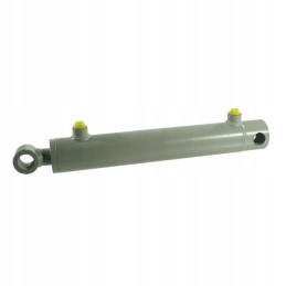 Double acting cylinder 30 60 1000