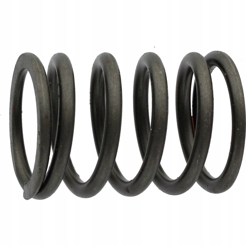 Fendt valve spring f139207210180