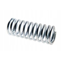Internal valve spring c 330