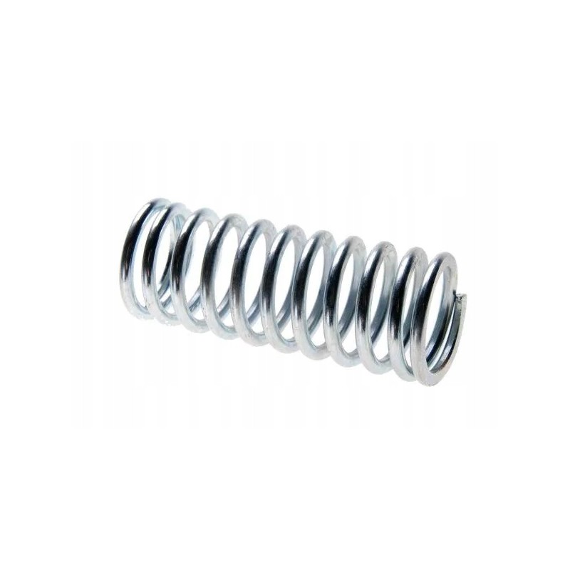Internal valve spring c 330