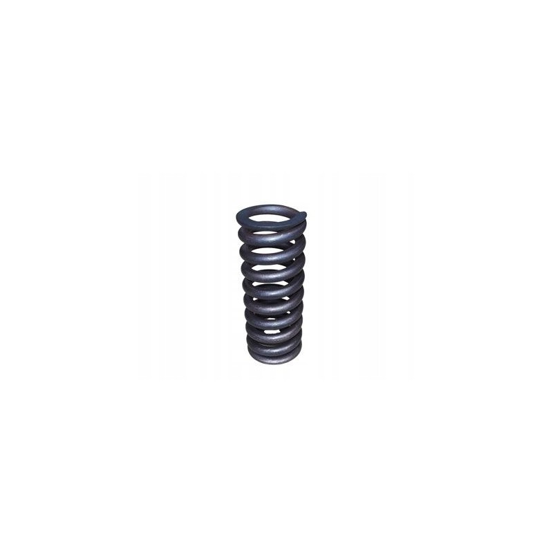 Internal engine valve spring mtz 2401007046