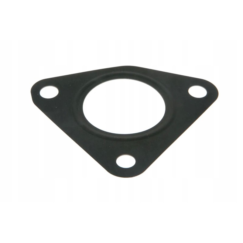 F954200110050 engine gasket