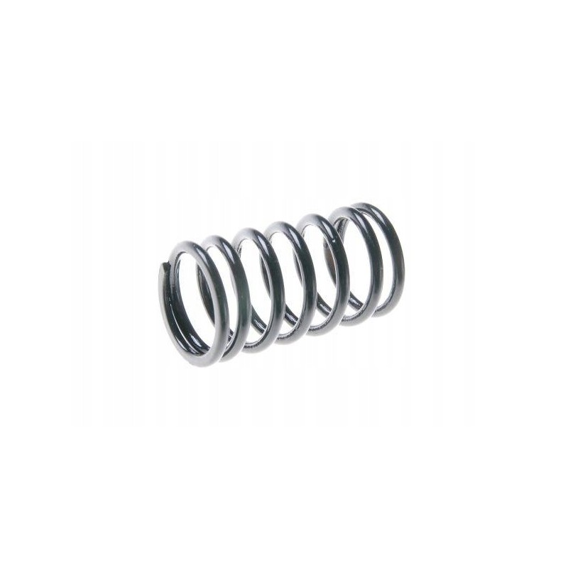Valve spring internal c 385 89005502