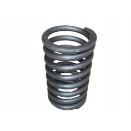 External engine valve spring mtz 2401007045