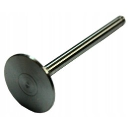 Suction valve mf 31431681