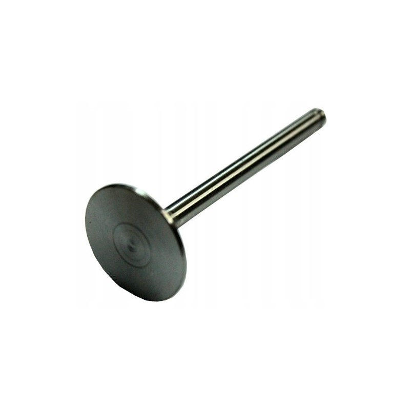 Suction valve mf 31431681