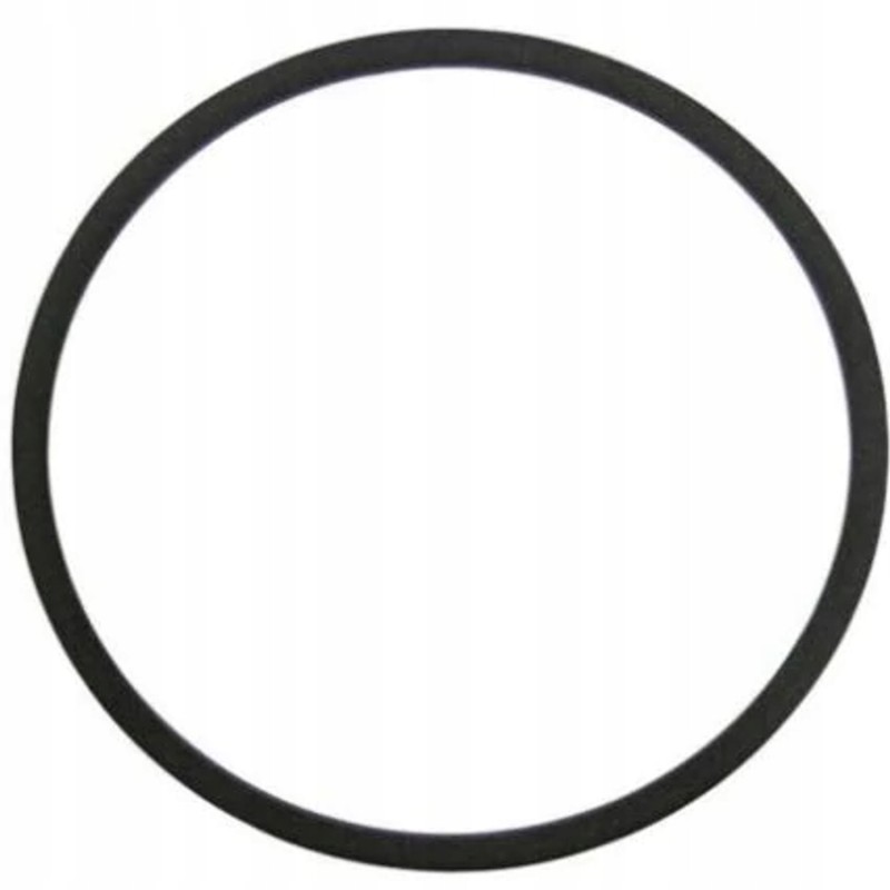 O ring new holland case cnh 87694800