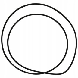 Oring 200mm 159001 05 1037 dana spicer