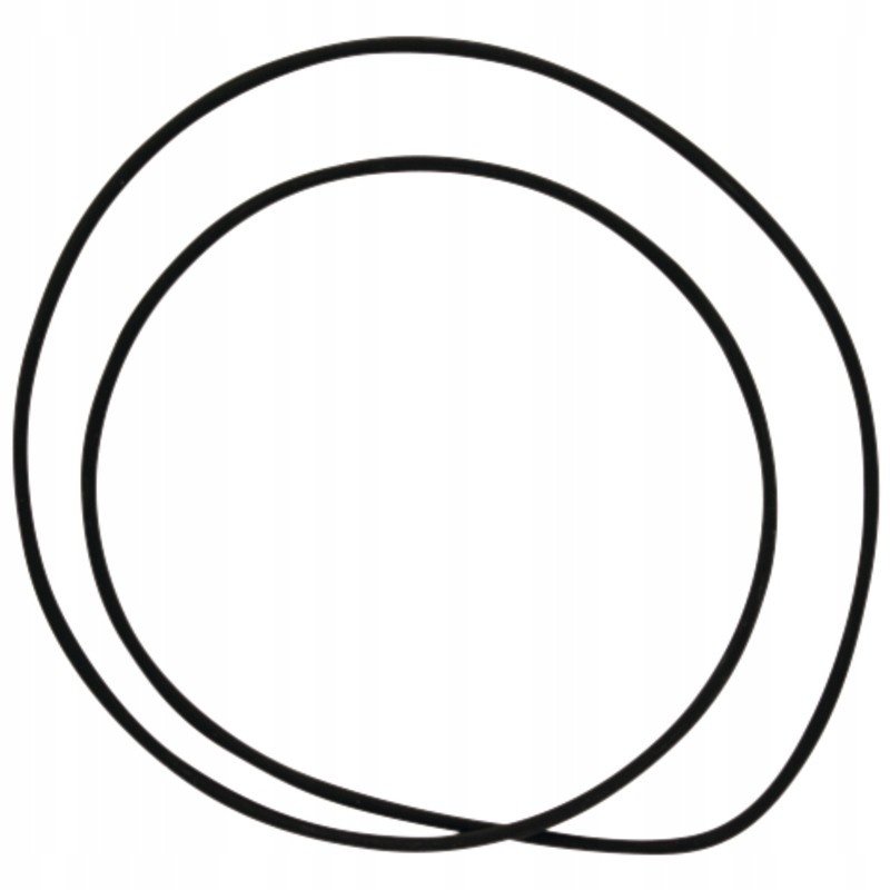 Oring 200mm 159001 05 1037 dana spicer