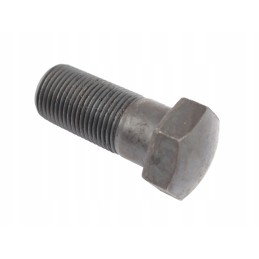 Screw 80161017