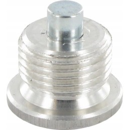 Magnetic plug for gearbox comer 1 2 bsp p