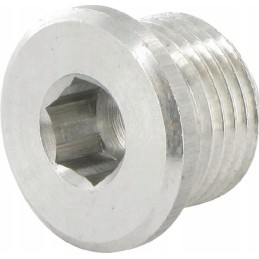 Magnetic plug for gearbox comer 1 2 bsp p