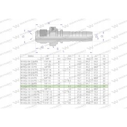 Hydraulic forging agj dn13 7 8 14 unf pre