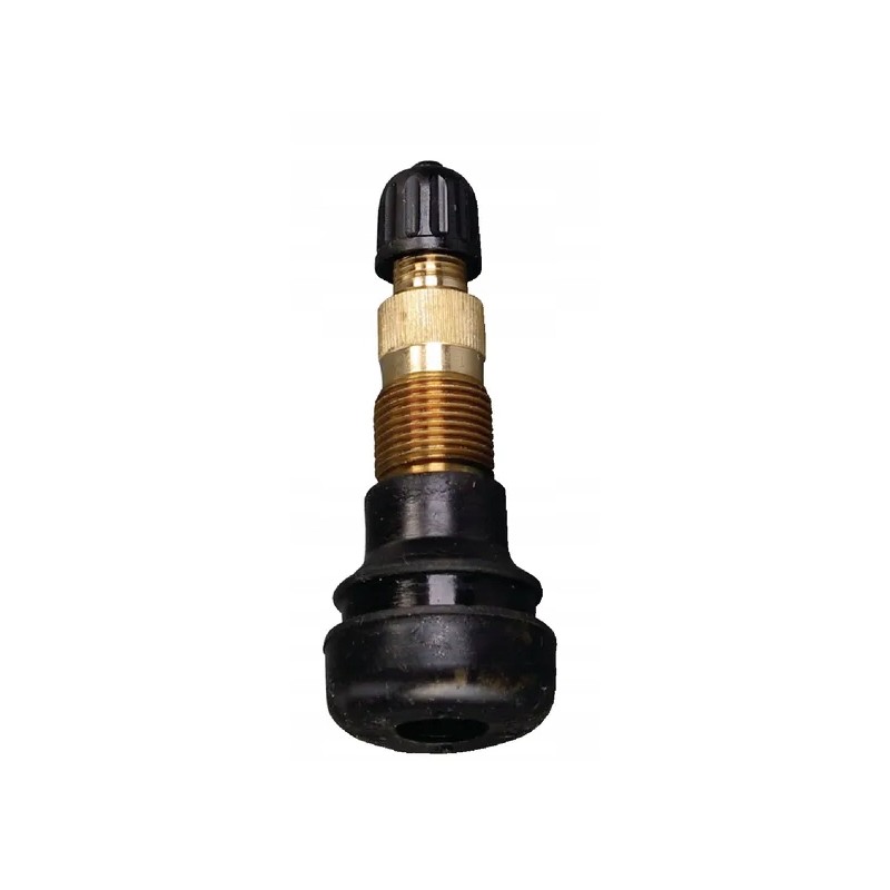 Valve for tubeless tires air water