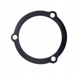 Rear hub cover seal for c 360 5052804