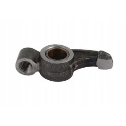 Intake valve lever 4650598n