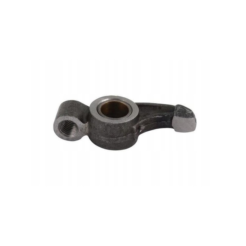 Intake valve lever 4650598n