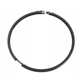 Oil piston ring for Zetor fi 102x5x445 69