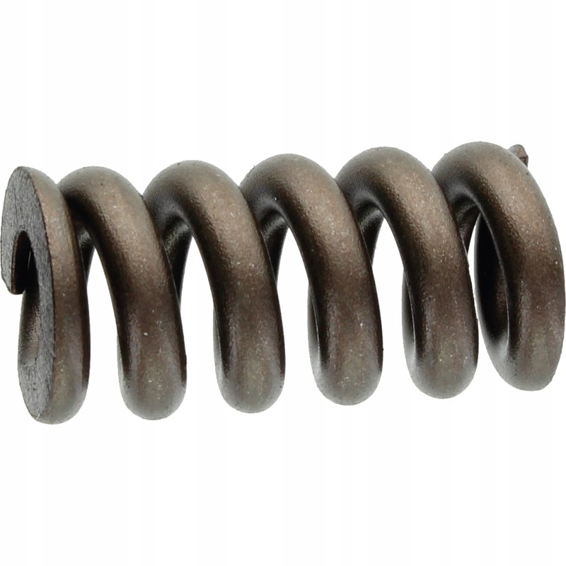 Walterscheid pressure spring