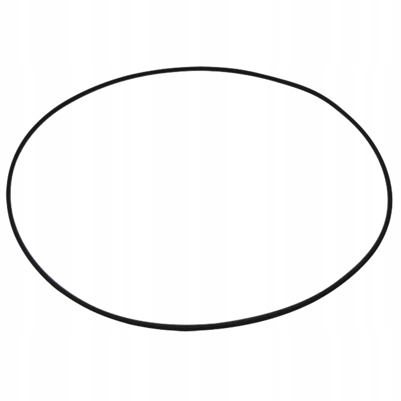 Oring 250mm 5450634304060 0634304060 zf