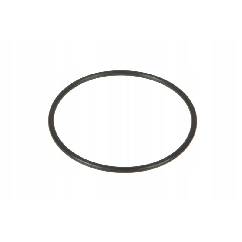 Va028205 differential O-ring