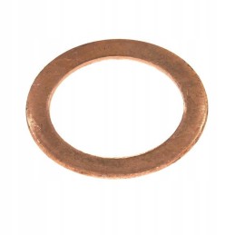 Friction washer of the central wheel of the satellite basket