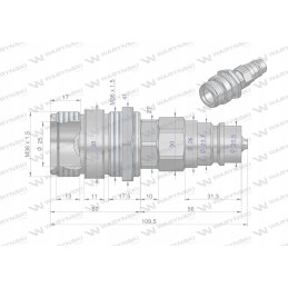 Reduction socket, Euro plug, screwed 50492 reducer