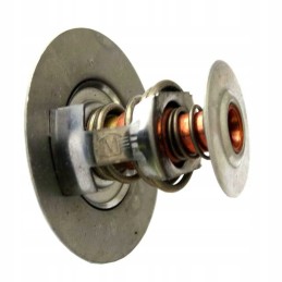Thermostat zefir tv 85 77