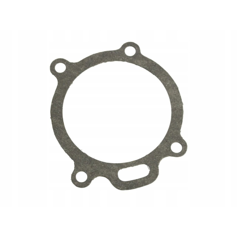 Water pump gasket mf 4 36866721