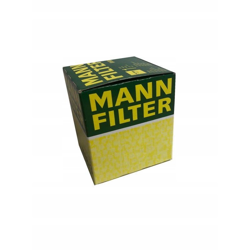 Renault Clio fuel filter