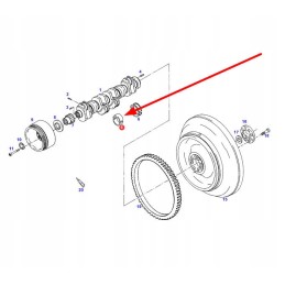 F824200210810 crankshaft bearing