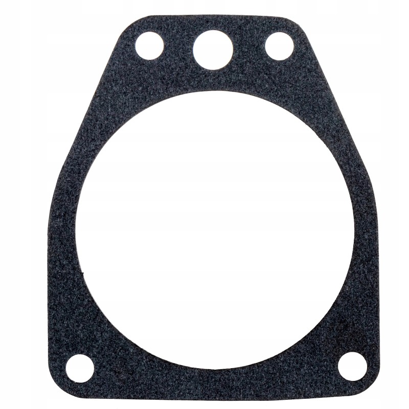 Injection pump gasket mtz 501006315