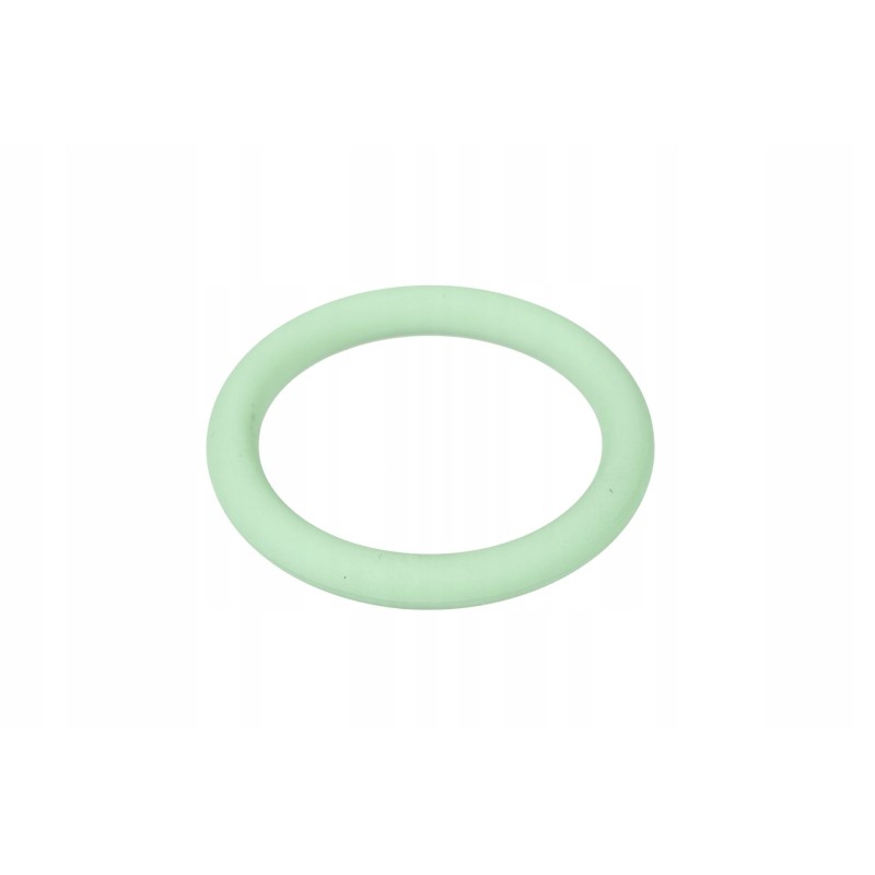 F119200090180 oil pipe o-ring