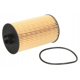 Oil filter 02931094 608773 f411201510010 11708550