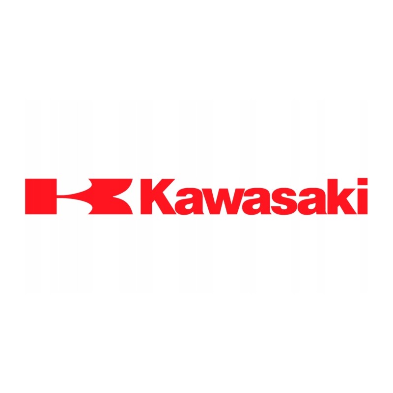 Kawasaki cylinder head gasket 110047006