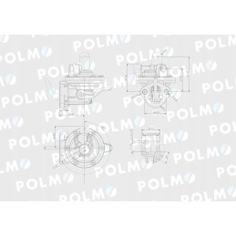 Feed pump 25066404 Polmo