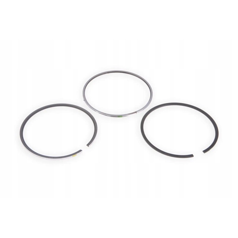 F934201310020 piston ring set