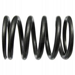 Valve spring f284201011010 fendt