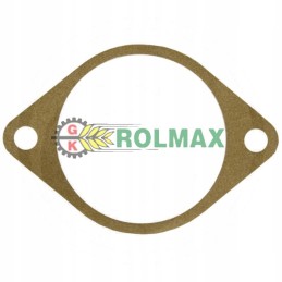 Gasket 7700699934