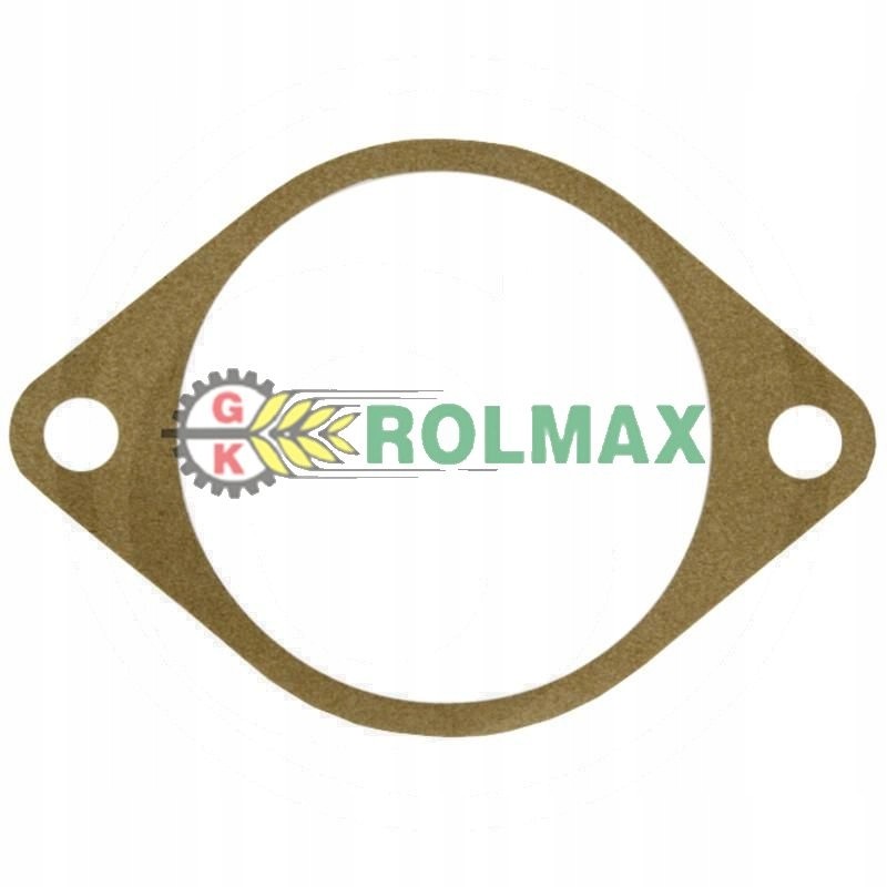 Gasket 7700699934