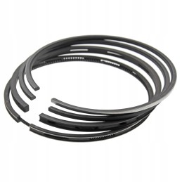 Piston rings set SW 680turbo Jelcz 127