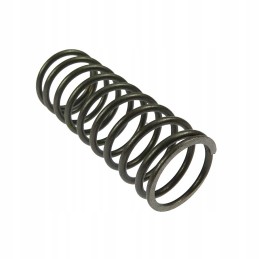 Inner valve spring c 360 andoria mot 50505