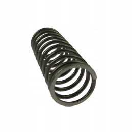 Inner valve spring c 360 andoria mot 50505