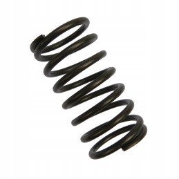 Valve spring external c 360 andoria mot 50505