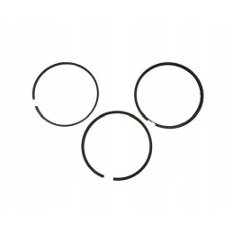 Set of engine piston rings 52110096 8900