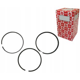 Set of engine piston rings 52110096 8900