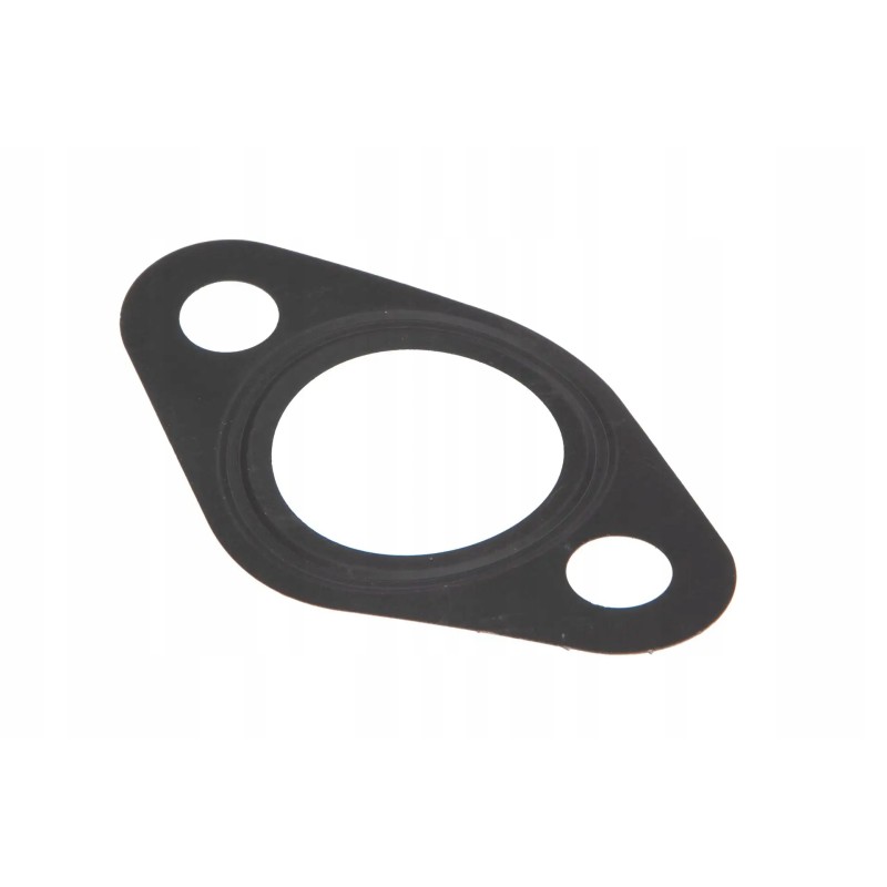 F842201100070 engine gasket