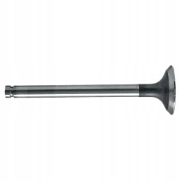 Exhaust valve 38015402 granite