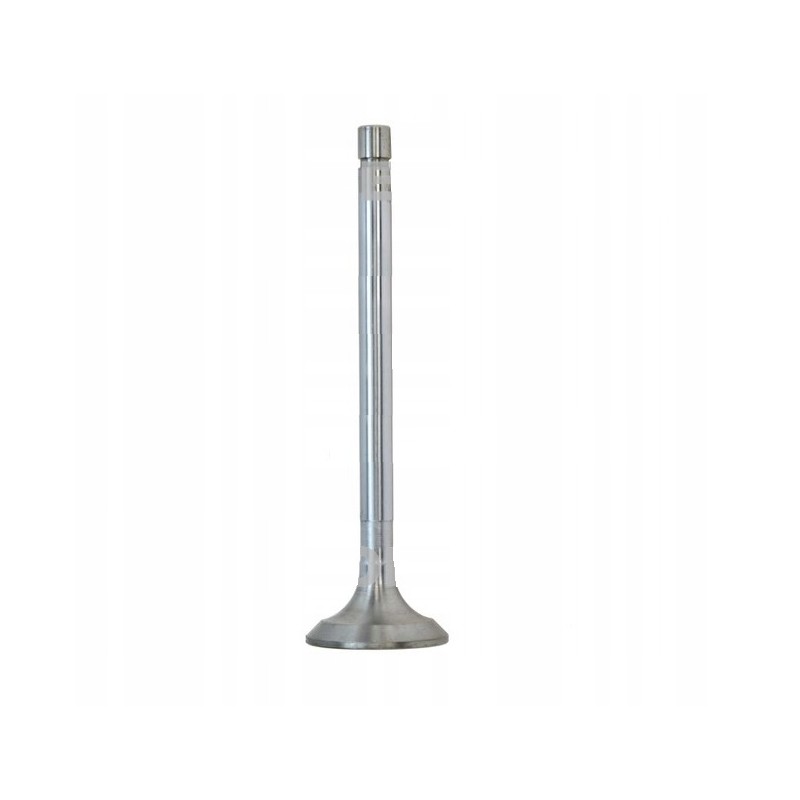 Exhaust valve t25 t 25 wladimirec ruski papaj
