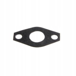 Oil pump seal c 330 50103100